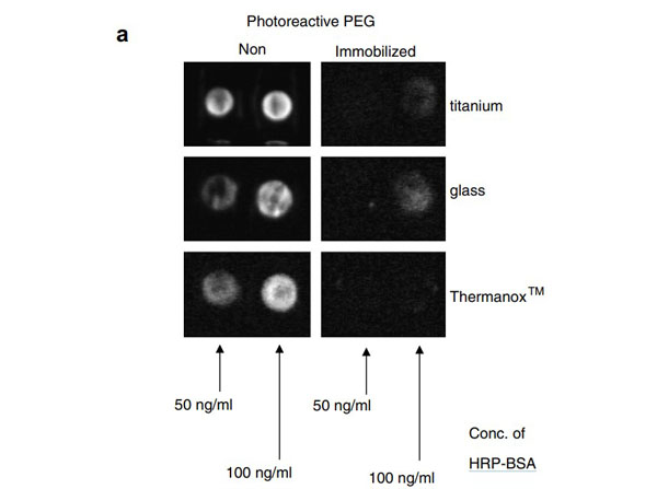 Chemiluminescence using Bovine Albumin Peroxidase Chemiluminescence using Bovine Albumin Peroxidase