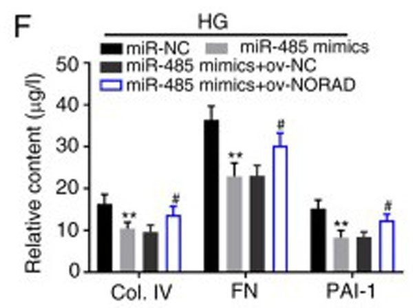 ELISA results using Human Collagen Type IV ELISA results using Human Collagen Type IV