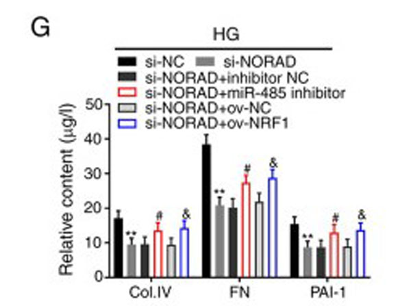 ELISA results using Human Collagen Type IV ELISA results using Human Collagen Type IV