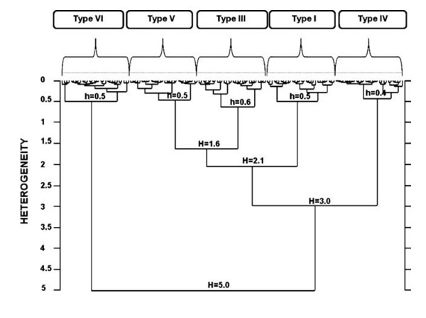 Fourier-transform infrared (FTIR) spectroscopy using Human Collagen Type VI Fourier-transform infrared (FTIR) spectroscopy using Human Collagen Type VI