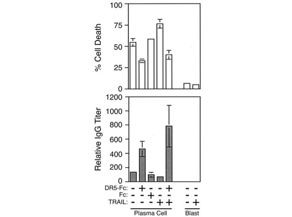 Cell viability using Human IgG Fc Cell viability using Human IgG Fc