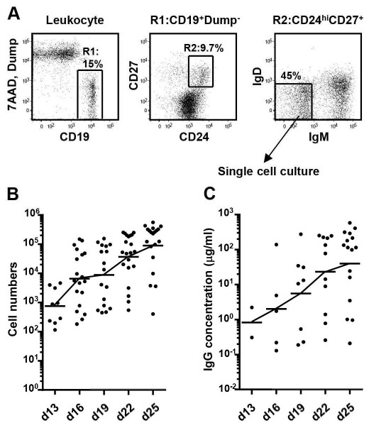 Flow cytometry using mouse IgG1 kappa Flow cytometry using mouse IgG1 kappa