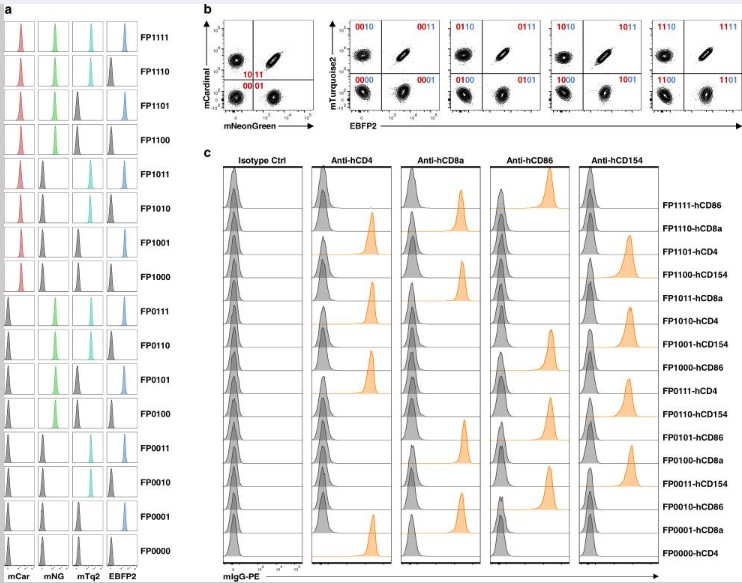 Flow cytometry using mouse IgG1 kappa Flow cytometry using mouse IgG1 kappa