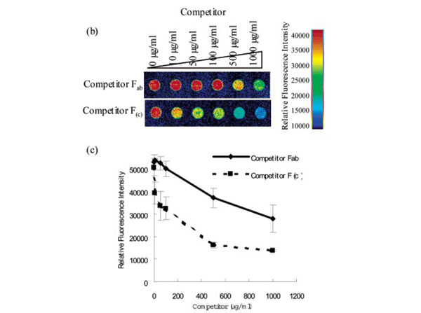 Microarray using Mouse IgG Fab Microarray using Mouse IgG Fab