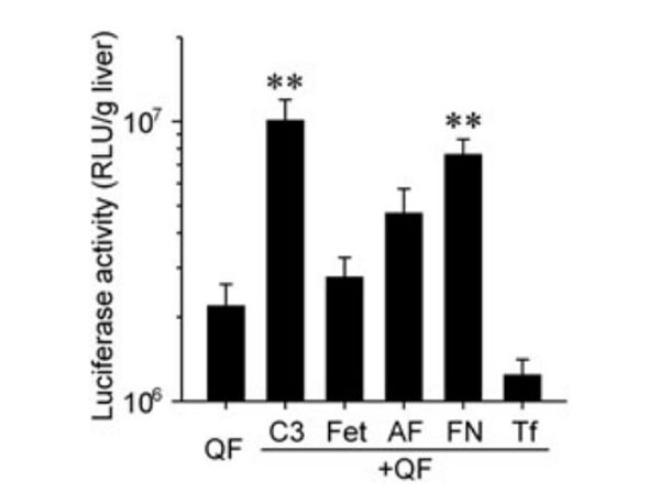 Assay using Mouse Transferrin Assay using Mouse Transferrin