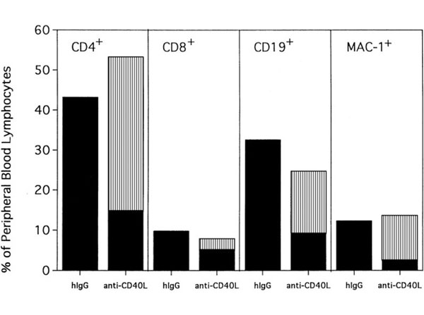 Assay using Armenian Hamster IgG Assay using Armenian Hamster IgG