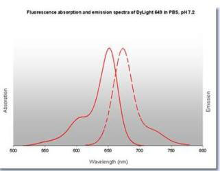 Properties of DyLight™ Fluorescent Dyes. Properties of DyLight™ Fluorescent Dyes.