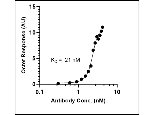 Fitting of Kinetic Data of Anti-SARS CoV Nucleocapsid Fitting of Kinetic Data of Anti-SARS CoV Nucleocapsid