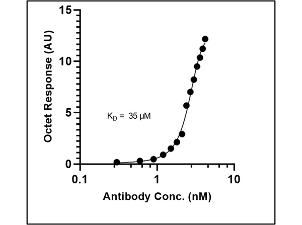 Binding mode and kinetic analysis of Anti-SARS-CoV-2 Nucleocapsid Binding mode and kinetic analysis of Anti-SARS-CoV-2 Nucleocapsid