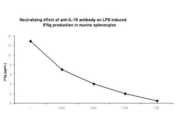 Anti-Mouse IL-18 Antibody - In Vitro Neutralization Anti-Mouse IL-18 Antibody - In Vitro Neutralization