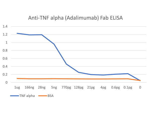 ELISA results of Anti-human TNF alpha Fab fragment Antibody ELISA results of Anti-human TNF alpha Fab fragment Antibody