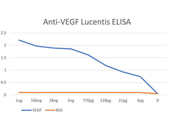 ELISA results of Anti-human VEGF Fab fragment Antibody ELISA results of Anti-human VEGF Fab fragment Antibody