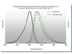 DyLight™ 488 Fluorescence Spectra. DyLight™ 488 Fluorescence Spectra.