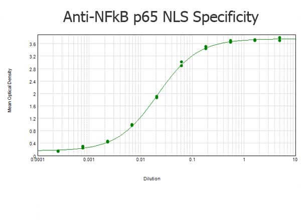 Rabbit anti-NFkB p65 NLS Specific ELISA Rabbit anti-NFkB p65 NLS Specific ELISA