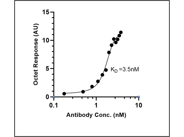 Fitting of Kinetic Data of Anti-SARS CoV Nucleocapsid Fitting of Kinetic Data of Anti-SARS CoV Nucleocapsid