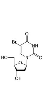 Bromodeoxyuridine molecule Bromodeoxyuridine molecule