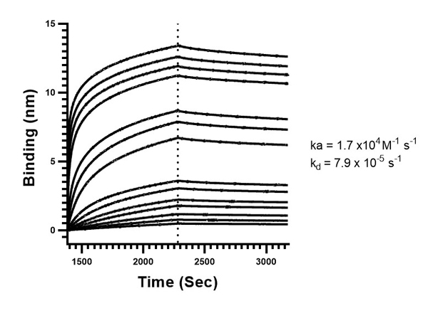 Binding mode and kinetic analysis of Anti-SARS-CoV-2 Nucleocapsid Binding mode and kinetic analysis of Anti-SARS-CoV-2 Nucleocapsid