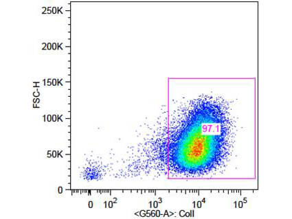 Flow Cytometry - Anti-Collagen 1 Biotin Flow Cytometry - Anti-Collagen 1 Biotin