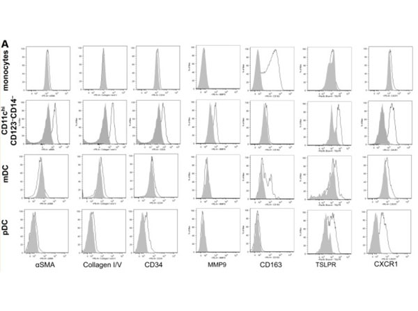Flow cytometry of Anti-Collagen Type I Antibody Biotin Conjugate Flow cytometry of Anti-Collagen Type I Antibody Biotin Conjugate