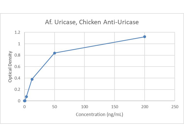 Aspergillus flavus uricase activity Aspergillus flavus uricase activity