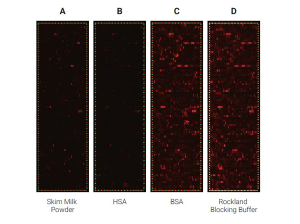 Comparison of the performance of different blocking reagents in epitope mappings with PEPperCHIP® Peptide Microarrays Comparison of the performance of different blocking reagents in epitope mappings with PEPperCHIP® Peptide Microarrays