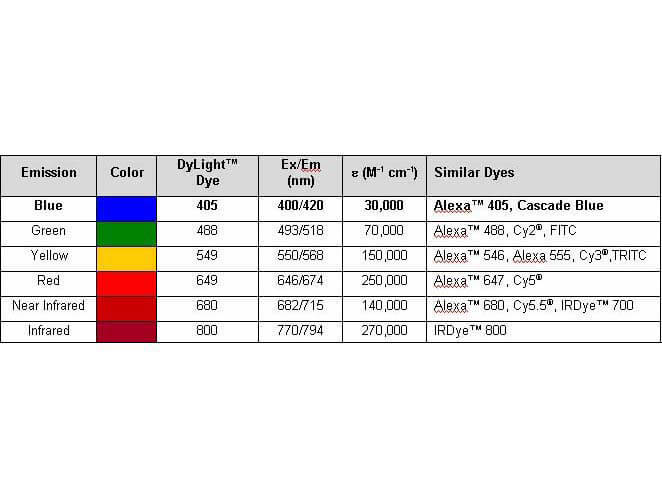 Properties of DyLight™ Conjugates. Properties of DyLight™ Conjugates.