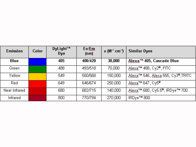 Properties of DyLight™ Conjugates. Properties of DyLight™ Conjugates.
