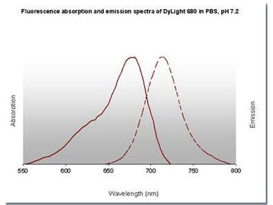 DyLight™ 680 Fluorescence Spectra. DyLight™ 680 Fluorescence Spectra.