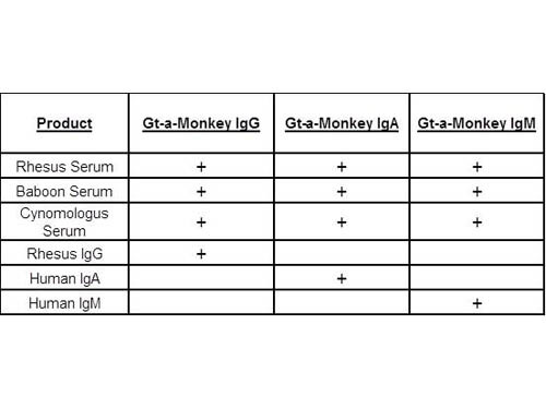 CT - Table of Goat Anti-Monkey Primary Antibodies. CT - Table of Goat Anti-Monkey Primary Antibodies.
