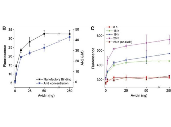 Results using Avidin Results using Avidin
