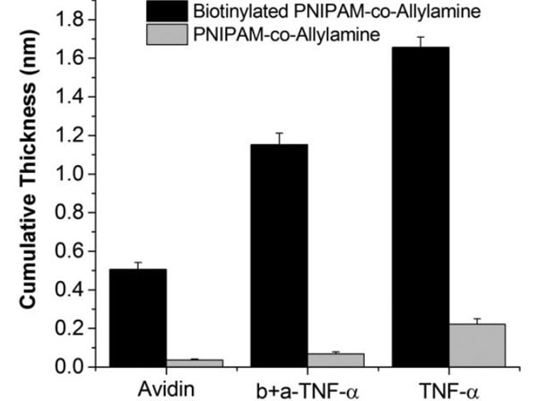 Results using Avidin Results using Avidin