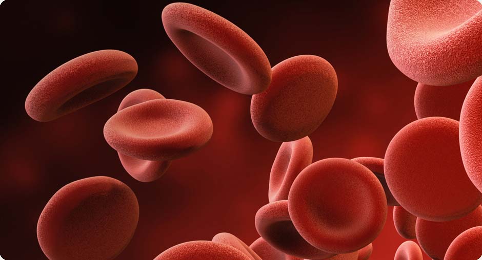 Blood Products