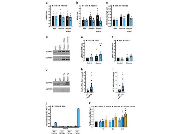 Assays using BSA Assays using BSA