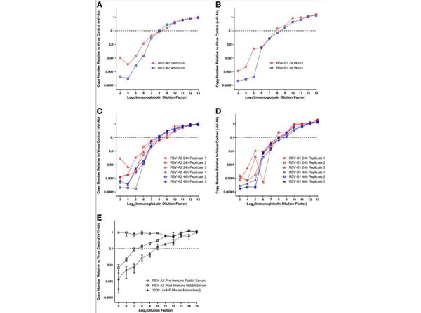 Neutralization using Guinea Pig Complement Neutralization using Guinea Pig Complement