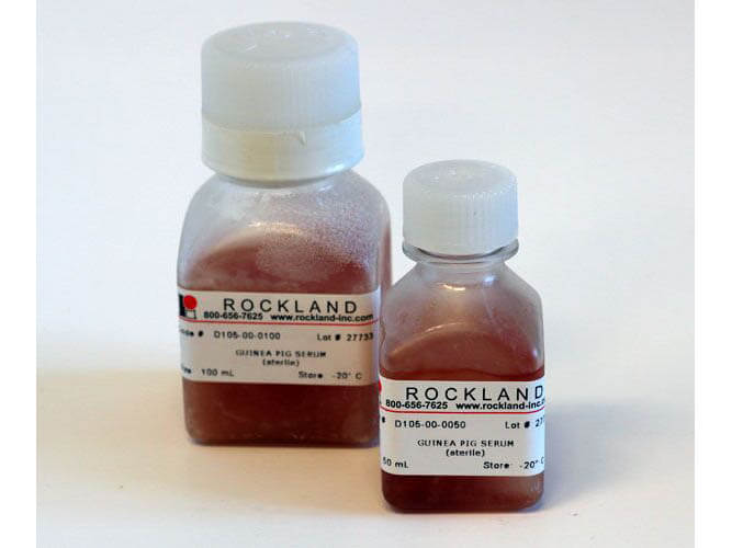 Guinea Pig Serum Sterile