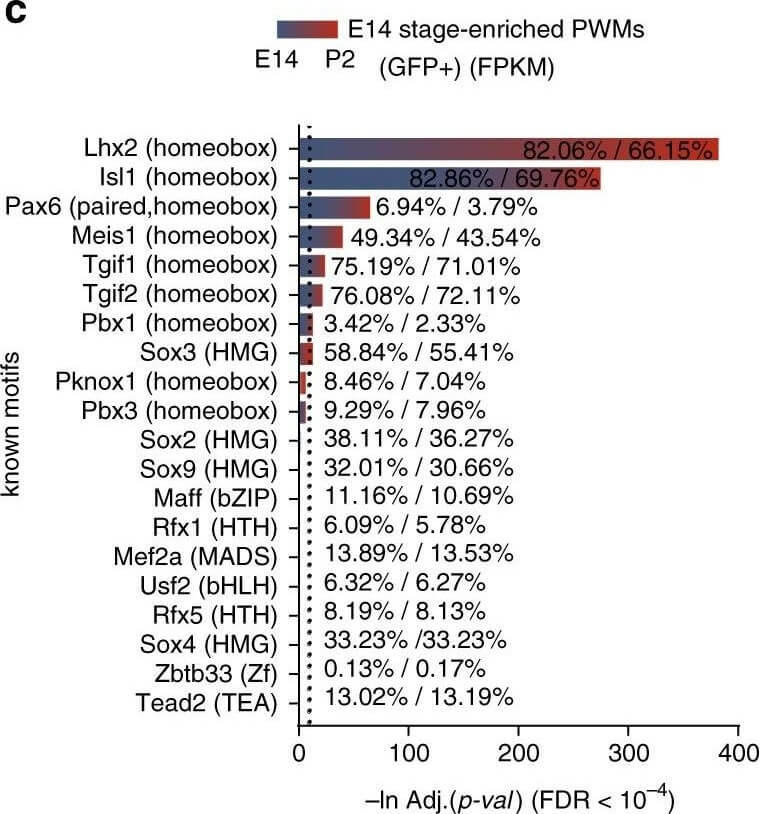Flow Cytometry of Anti-GFP Antibody Flow Cytometry of Anti-GFP Antibody