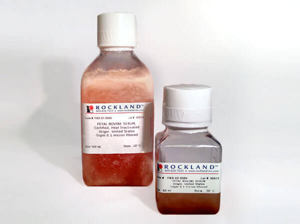 Fetal Bovine Serum, Certified, Heat Inactivated