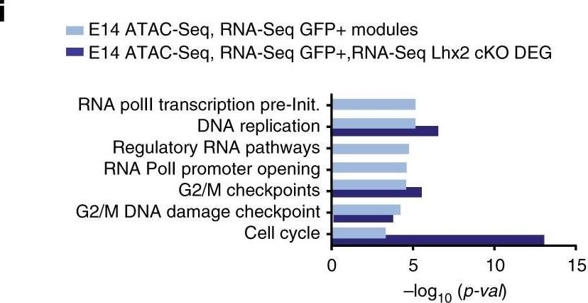 Flow Cytometry of Anti-GFP Antibody Flow Cytometry of Anti-GFP Antibody