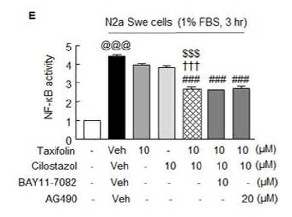 Binding Activity using NF-kB kit Binding Activity using NF-kB kit