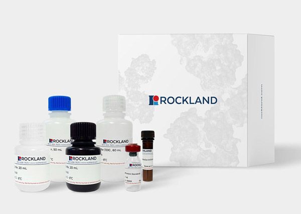 E. coli HCP ELISA Kit and Components for ELISA E. coli HCP ELISA Kit and Components for ELISA