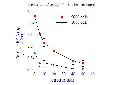 CellCountEZ Assay - 24hrs Cisplatin CellCountEZ Assay - 24hrs Cisplatin