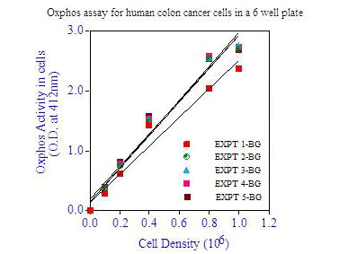 Oxphos Cell Survival Assay - background Oxphos Cell Survival Assay - background