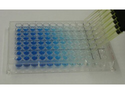 ELISA Microwell Blocking Buffer with Stabilizer - ELISA ELISA Microwell Blocking Buffer with Stabilizer - ELISA