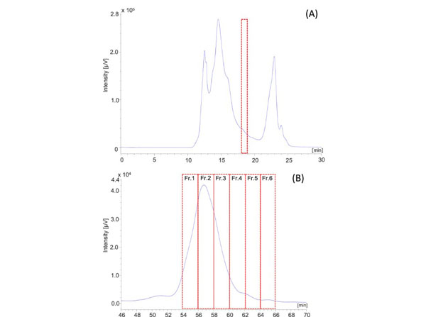 Protein separation using Mouse brain Protein separation using Mouse brain