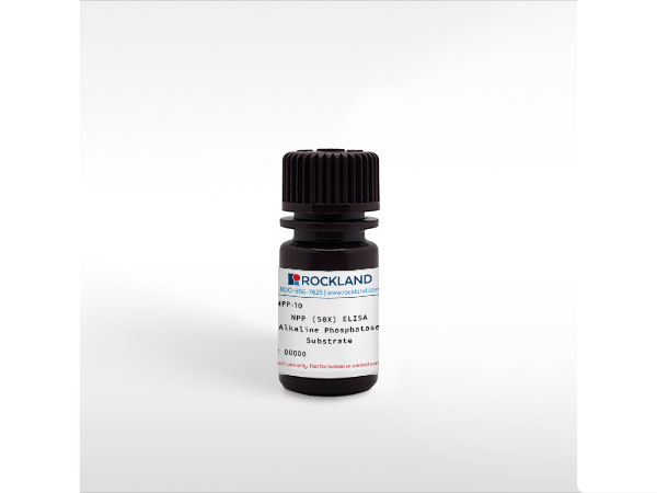 NPP (50X) ELISA Alkaline Phosphatase Substrate NPP (50X) ELISA Alkaline Phosphatase Substrate