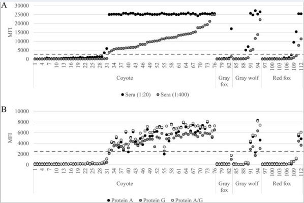 Assay results using Biotin Protein A Assay results using Biotin Protein A