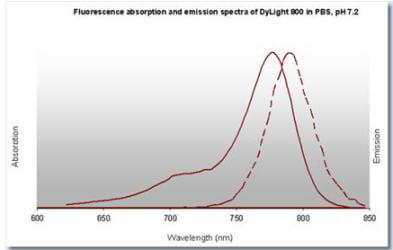DyLight™ 800 Fluorescence Spectra. DyLight™ 800 Fluorescence Spectra.