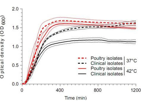 Assay using defibrinated chicken blood Assay using defibrinated chicken blood