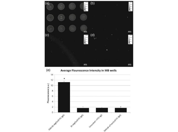 Assay using Streptavidin Assay using Streptavidin