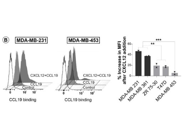 Flow Cytometry using Streptavidin Fluorescein Flow Cytometry using Streptavidin Fluorescein